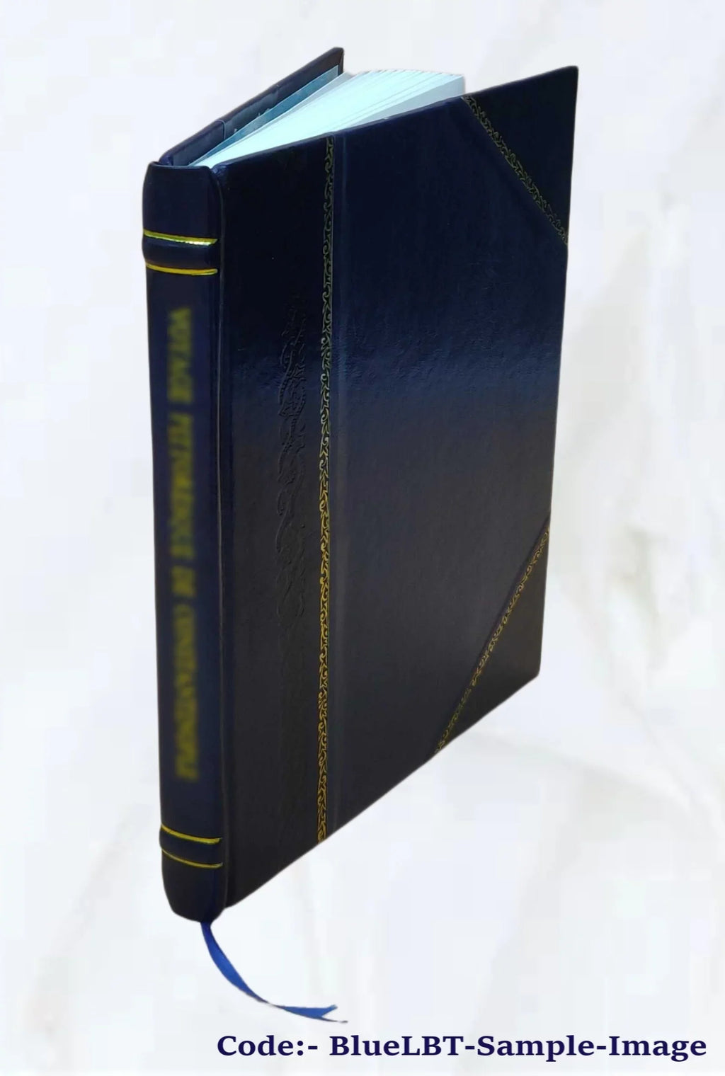 Ghosts what ain't 1923 [Leather Bound]