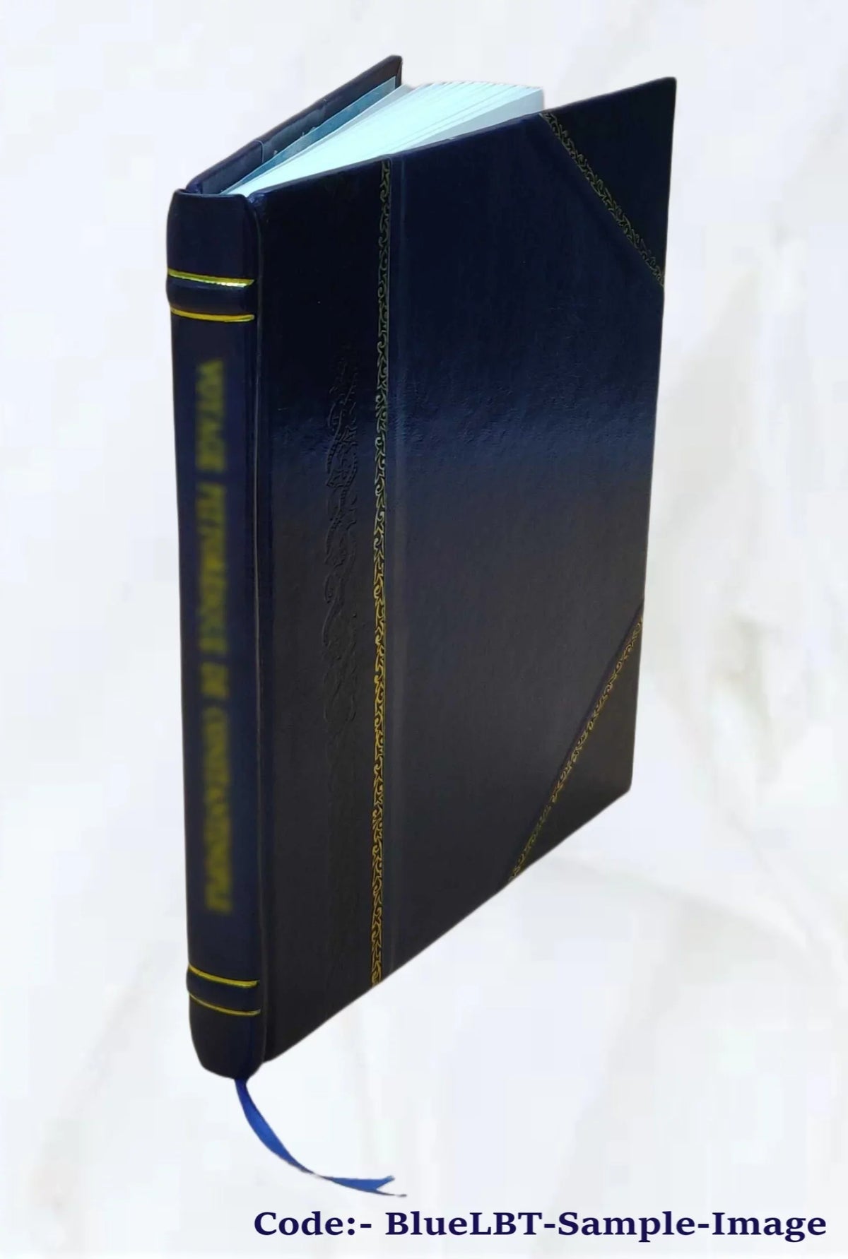 Ghosts what ain't 1923 [Leather Bound]