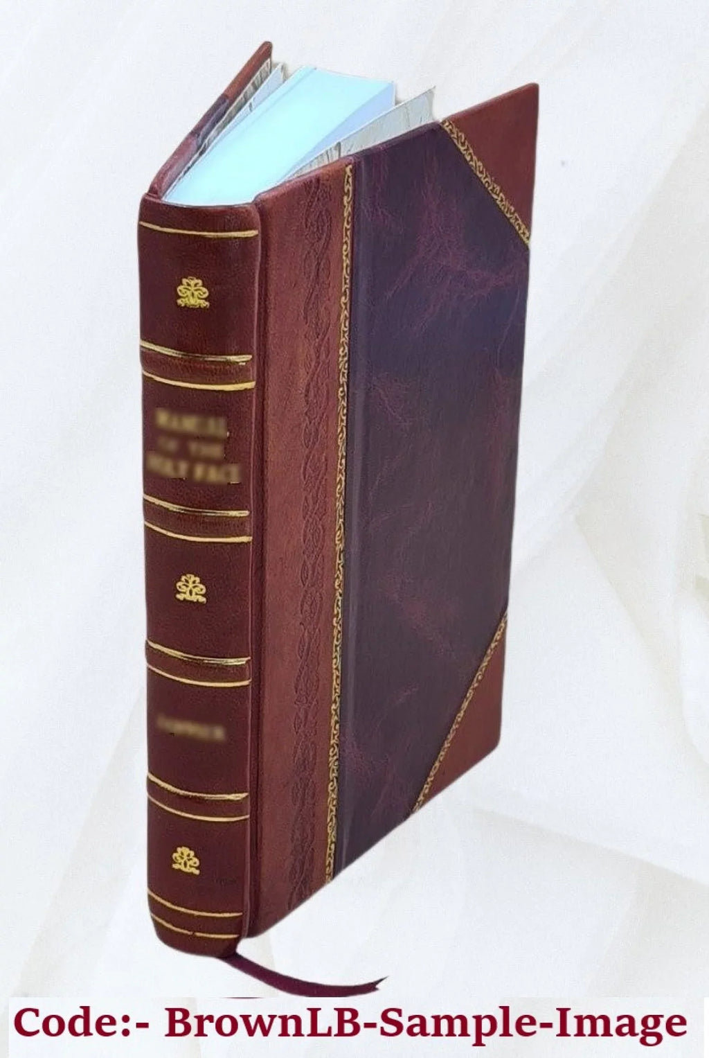 Merkwaardig verhaal aangaande het level en de lotgevallen van Michiel ... [Leather Bound]